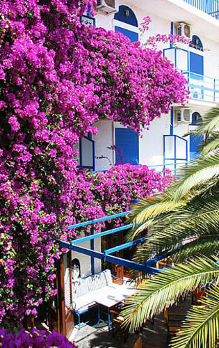 Hippocampus Hotel Aegina ภายนอก รูปภาพ